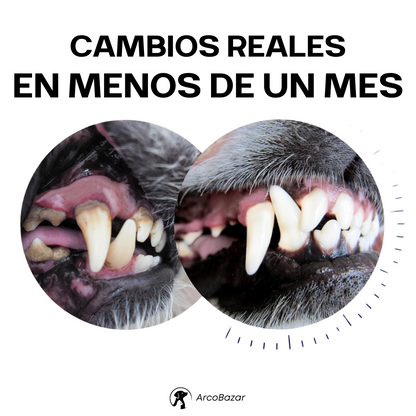 DentiCool 360° | Mastica, Limpia y Entretiene + Collar Anti Pulgas Gratis