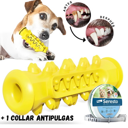 DentiCool 360° | Mastica, Limpia y Entretiene + Collar Anti Pulgas Gratis