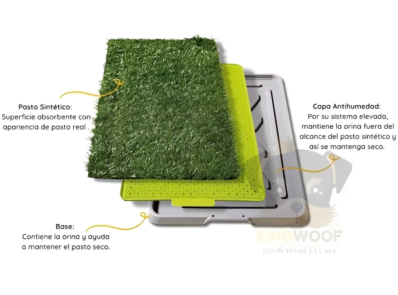 Baño Ecológico para mascotas- oferta 50% + Collar anti Pulgas