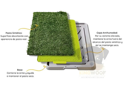 Baño Ecológico para mascotas- oferta 50% + Collar anti Pulgas