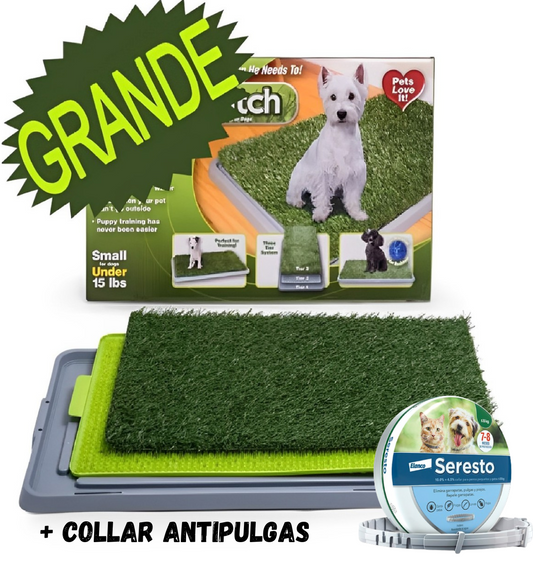 Baño Ecológico para mascotas- oferta 50% + Collar anti Pulgas